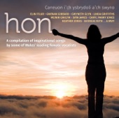 Hon, 2014