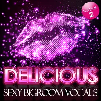 Delicious, Vol. 2 (Sexy Bigroom Vocals) by Various Artists album reviews, ratings, credits