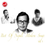 Best of Nepali Modern Songs Vol 1 (Nepali Film) artwork