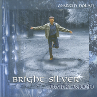 Martin Nolan - Bright Silver Dark Wood artwork