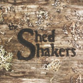 The Shed Shakers - Sunshine