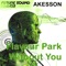 Without You (Original Mix) - Akesson lyrics