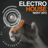 Electro House Night 2012 - Various Artists