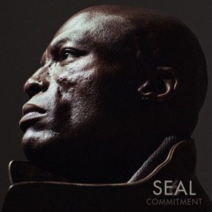 Seal - Secret (feat. Heidi Klum) - 排舞 音乐
