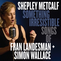 Shepley Metcalf - When Your Computer Crashes