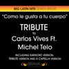 Como Le Gusta a Tu Cuerpo - Tribute to Carlos Vives & Michael Teló -EP