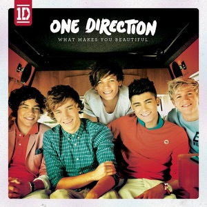 What Makes You Beautiful Artwork
