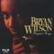 All You Need - Bryan Andrew Wilson lyrics