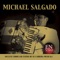 Yo Tuve Amores - Michael Salgado lyrics