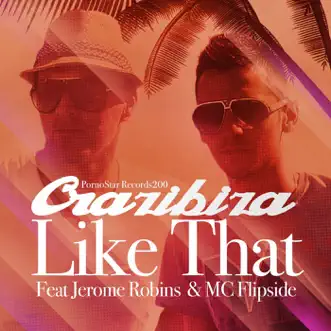 Like That (feat. Jerome Robins & MC Flipside) by Crazibiza song reviws