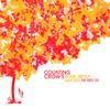 Films About Ghosts: The Best of Counting Crows artwork