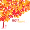 Counting Crows - Big Yellow Taxi