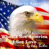 When I See America, I See Love - Single album lyrics, reviews, download
