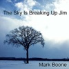 The Sky Is Breaking Up Jim (Degrassi Mix) - Single artwork