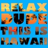 Relax Dude This Is Hawaii artwork