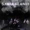 Lonely Dream (feat. Casey Stratton) - Brandon Carmody & Savageland lyrics