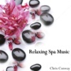 Relaxing Spa Music