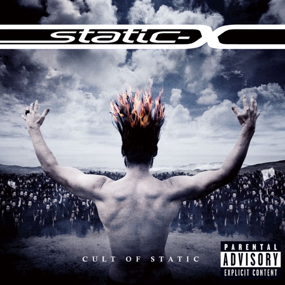 Cover artwork for Skinned