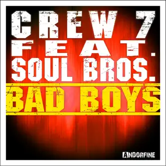 Bad Boys (Crew 7 Mix) by Crew 7 song reviws