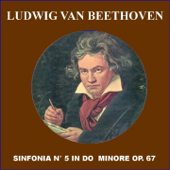 Beethoven: Sinfonia No. 5 in C minor, Op. 67 - Orchestra Magdeburg Symphony & Heinz Hartmann