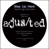 Stay Up Here (Dub Mix) [feat. Miss Bee] artwork