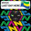 Last Day Here (Remixes)