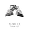 Thin Walls artwork