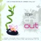 Como Un Lobo (Chill Out Version) - Top Chill Out lyrics
