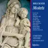 Bruckner: Motets album lyrics, reviews, download