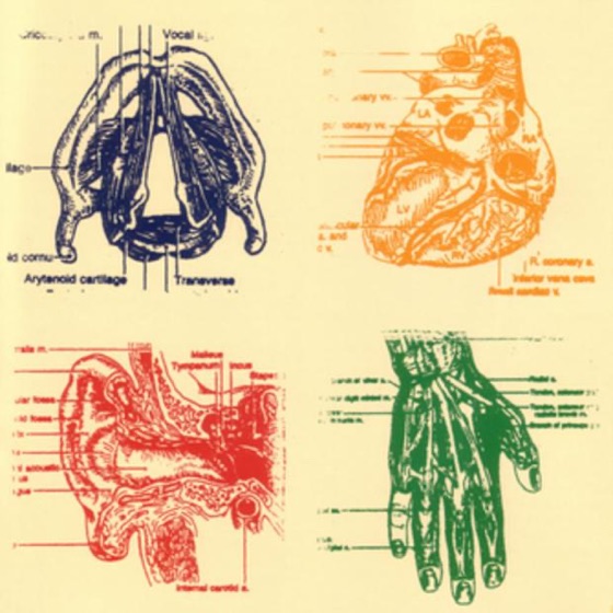 Cover artwork for Dirge