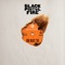 Stripes or Keys - Black Pistol Fire lyrics