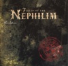 Moonchild - Fields of the Nephilim Cover Art