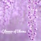 Breeze - Glimmer of Blooms lyrics