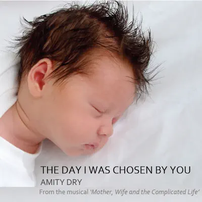 The Day I Was Chosen By You - Single - Amity Dry