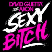 Sexy B***h (Remixes) [feat. Akon] artwork