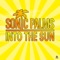 Into the Sun (Jay Frog Remix) - Sonic Palms lyrics