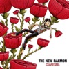 Te Debo un Baile by The New Raemon iTunes Track 1