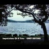 Gary Hayden - February impression