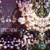 Spectrum - EP