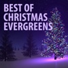 Best of Christmas Evergreens, 2012