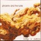 It's Not You It's Me - Phoenix and the Turtle lyrics
