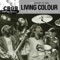 Cult Of Personality - Living Colour lyrics