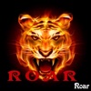 Roar - Single