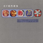 Cranes - Beautiful Friend