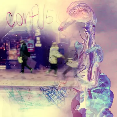 Collection - Confusion Collection - Confusion