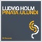 Pinata - Ludvig Holm lyrics