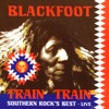 Train Train: Southern Rock's Best - Live, 2007