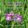 Romantic Interludes