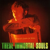 These Immortal Souls - Insomnicide