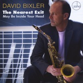 David Bixler - Perfected Surfaces